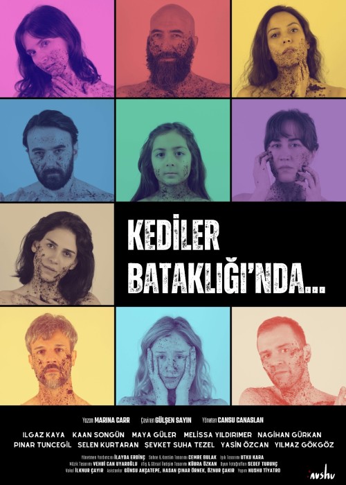 KEDİLER BATAKLIĞI'NDA..., KEDİLER BATAKLIĞI'NDA...